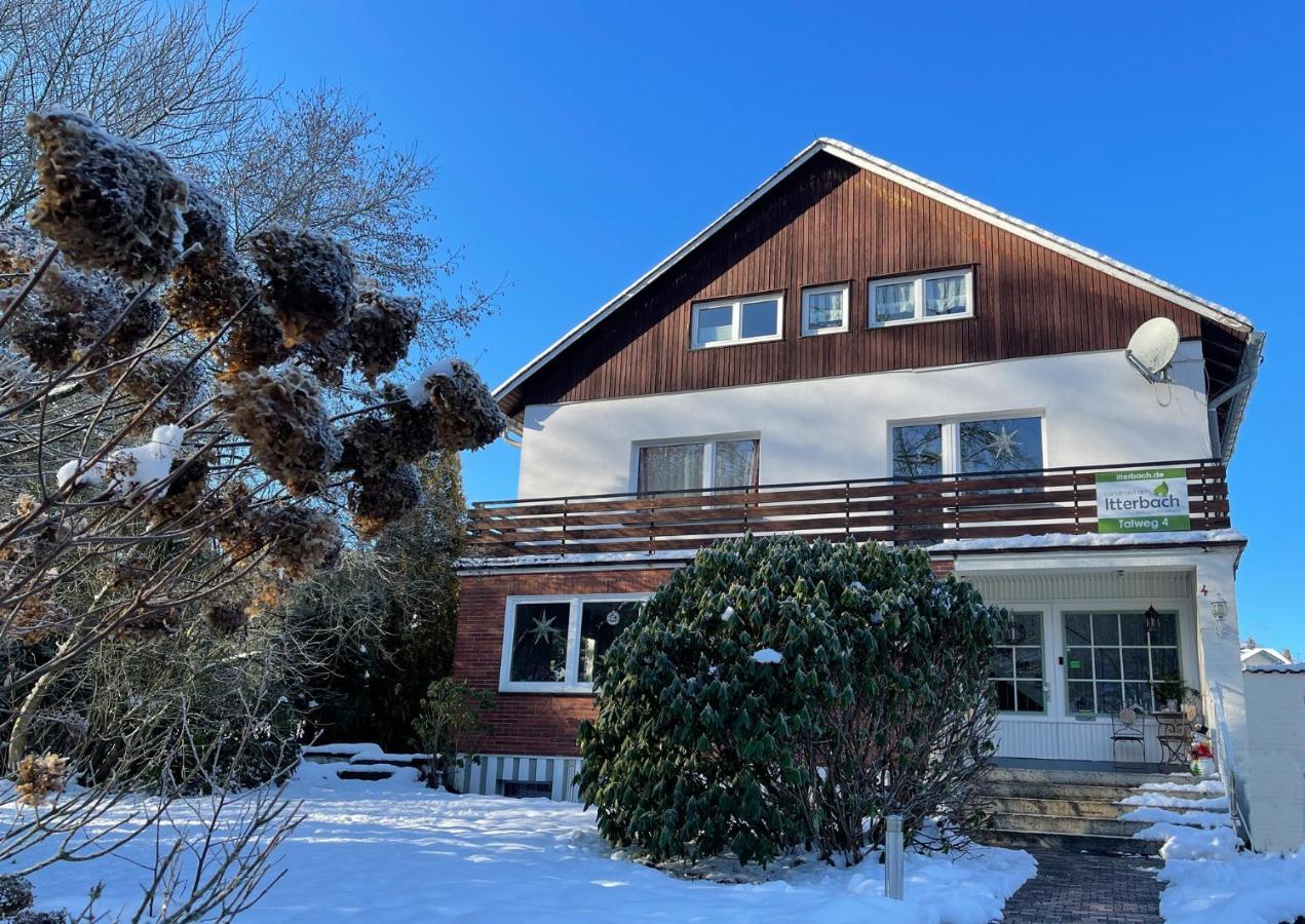 Landhaus Am Itterbach Willingen 빌링겐 외부 사진