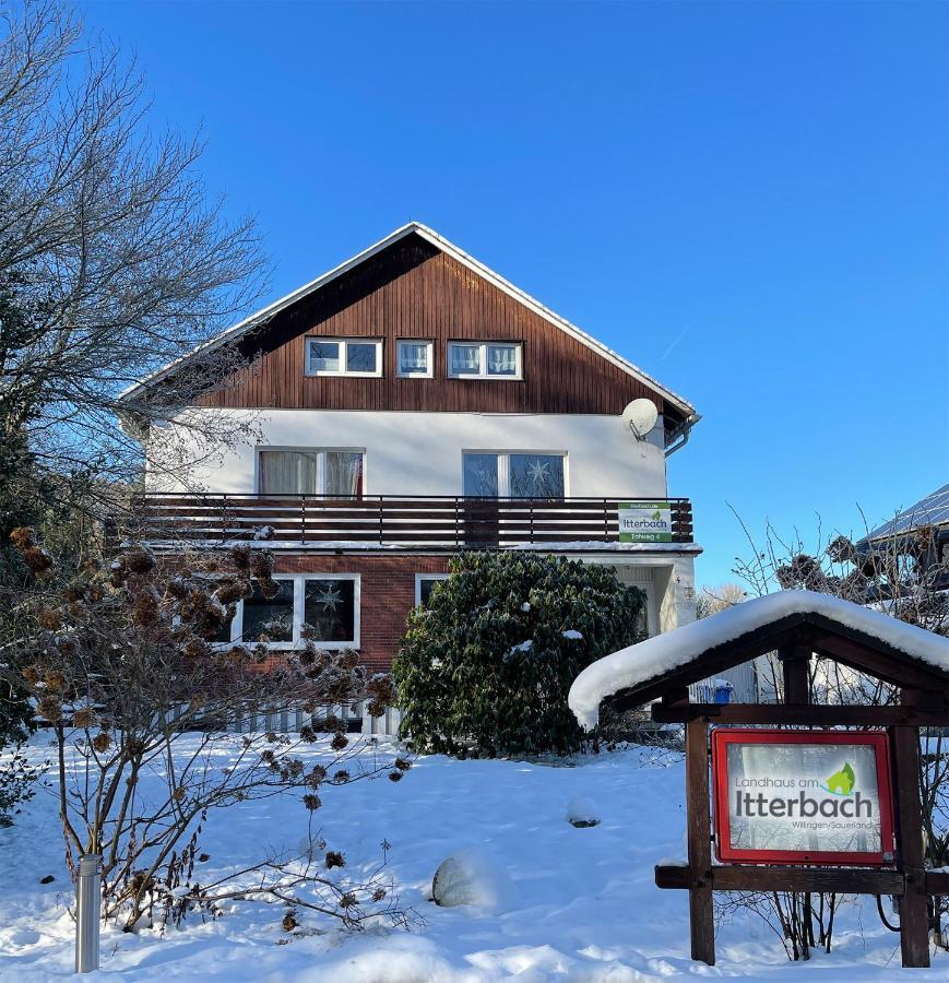 Landhaus Am Itterbach Willingen 빌링겐 외부 사진